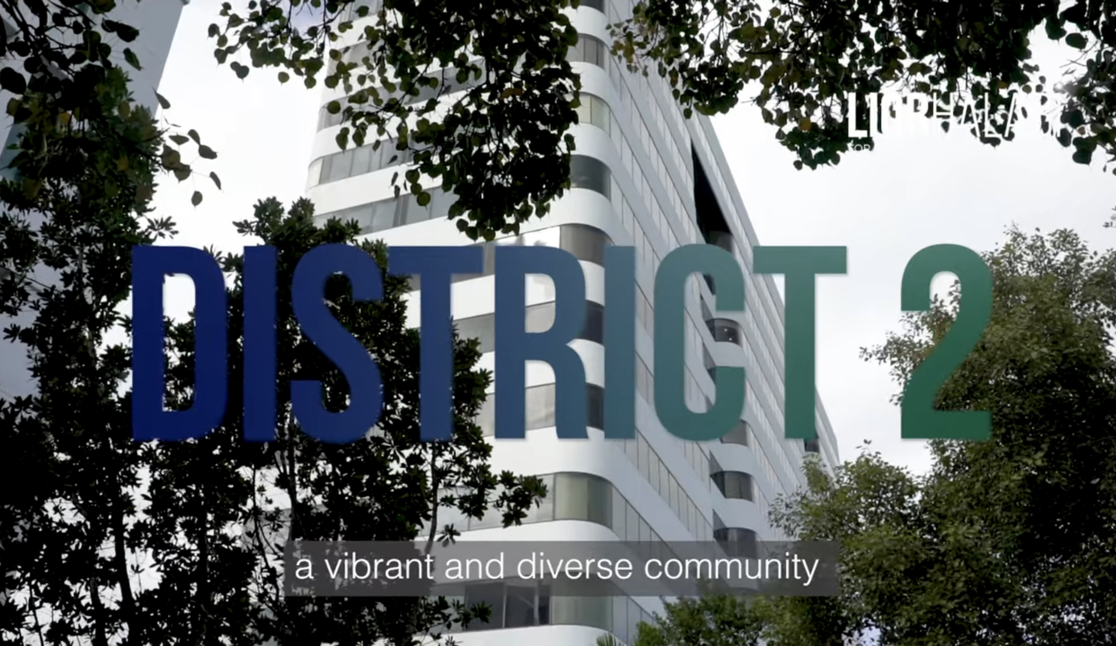 Uniting a Diverse Community: A Look into the Neighborhoods of Miami’s District 2